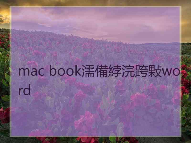 mac book濡備綍浣跨敤word