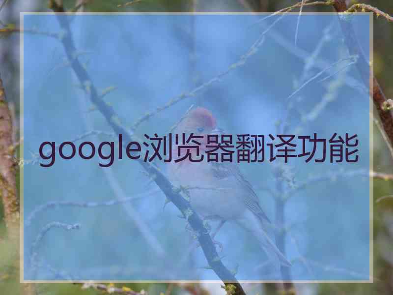 google浏览器翻译功能