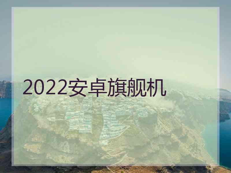 2022安卓旗舰机