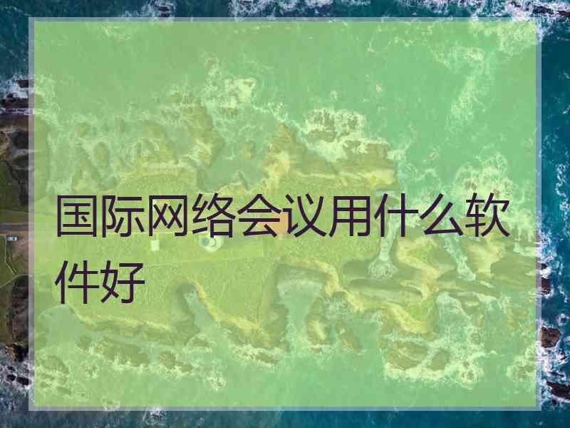 国际网络会议用什么软件好