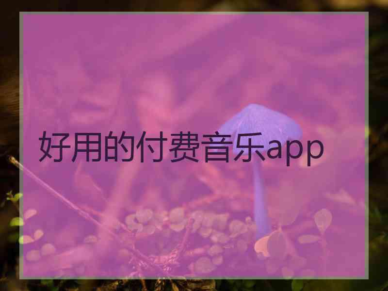 好用的付费音乐app