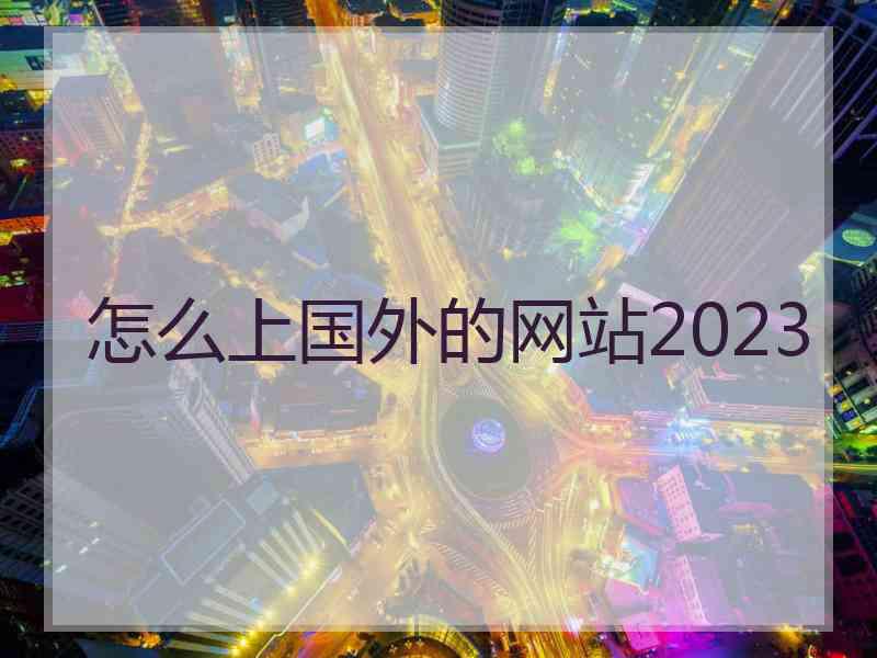 怎么上国外的网站2023