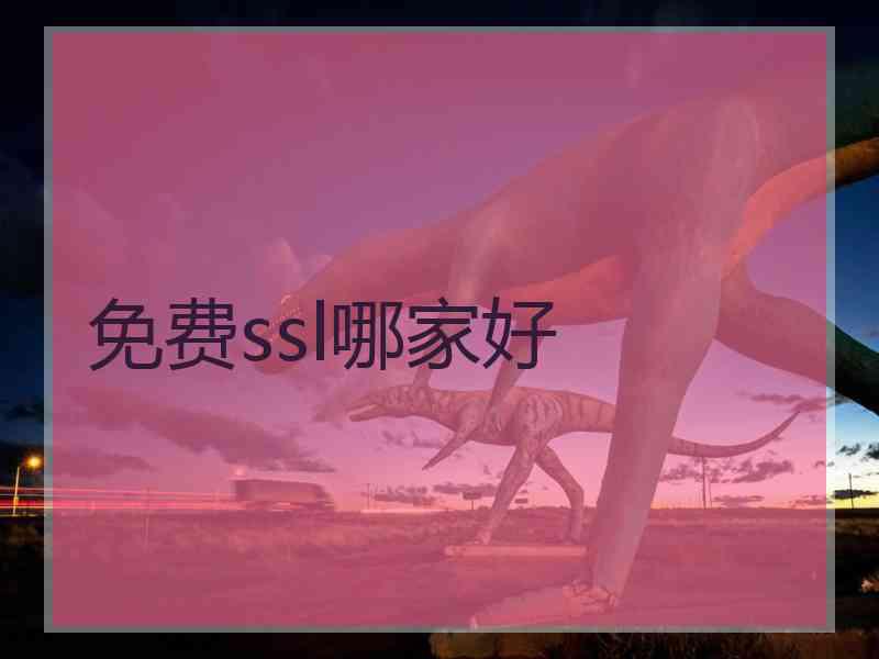 免费ssl哪家好