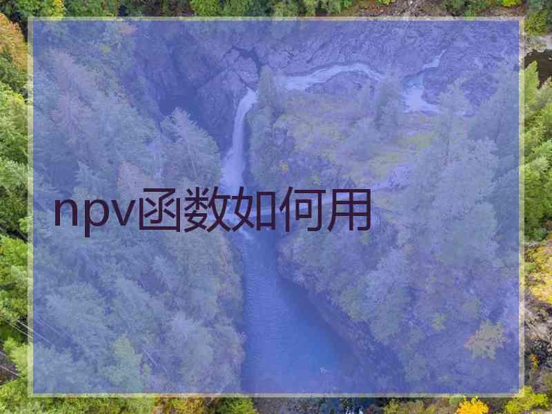 npv函数如何用