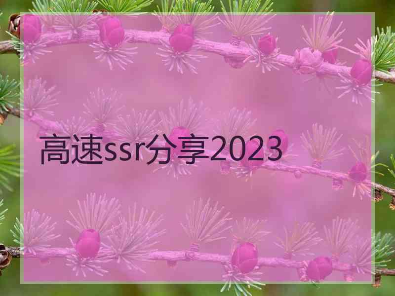 高速ssr分享2023