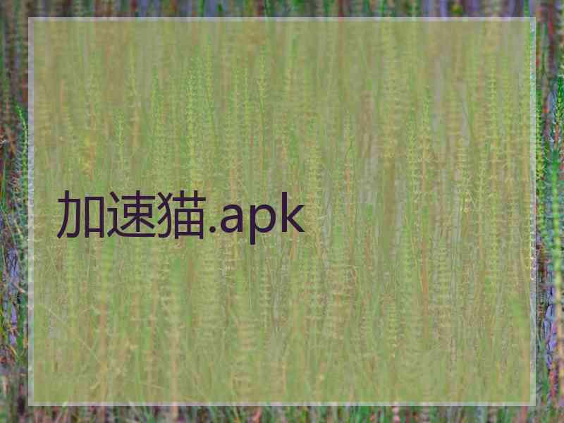 加速猫.apk