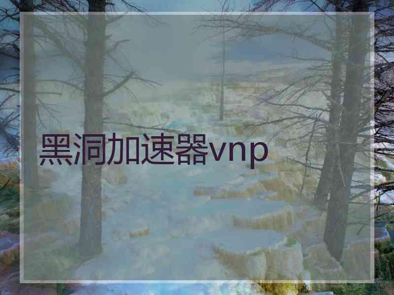 黑洞加速器vnp