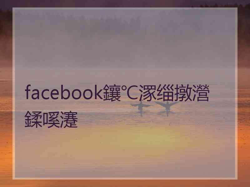 facebook鑲℃潈缁撴瀯鍒嗘瀽