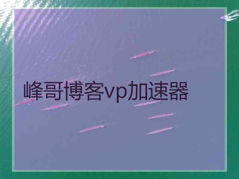 峰哥博客vp加速器