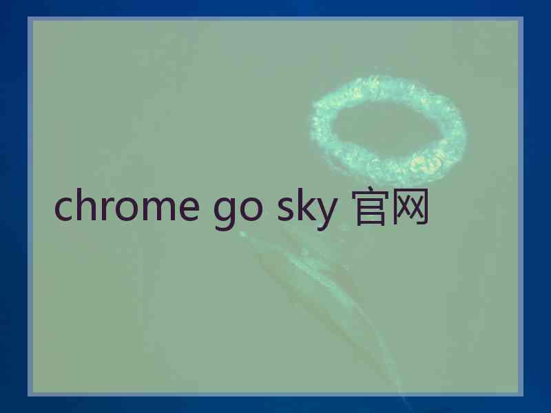 chrome go sky 官网