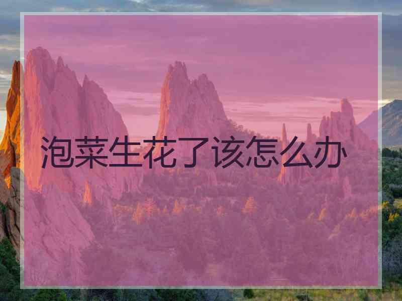 泡菜生花了该怎么办