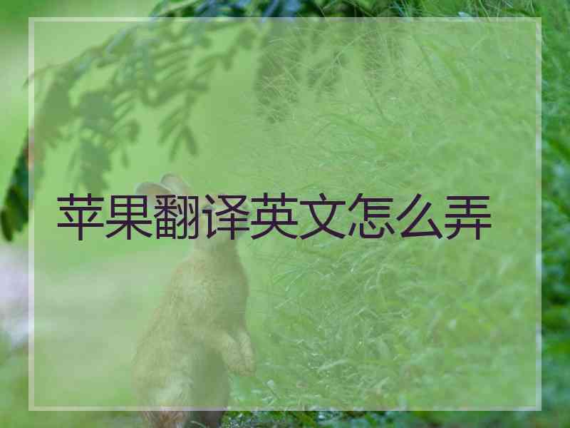 苹果翻译英文怎么弄