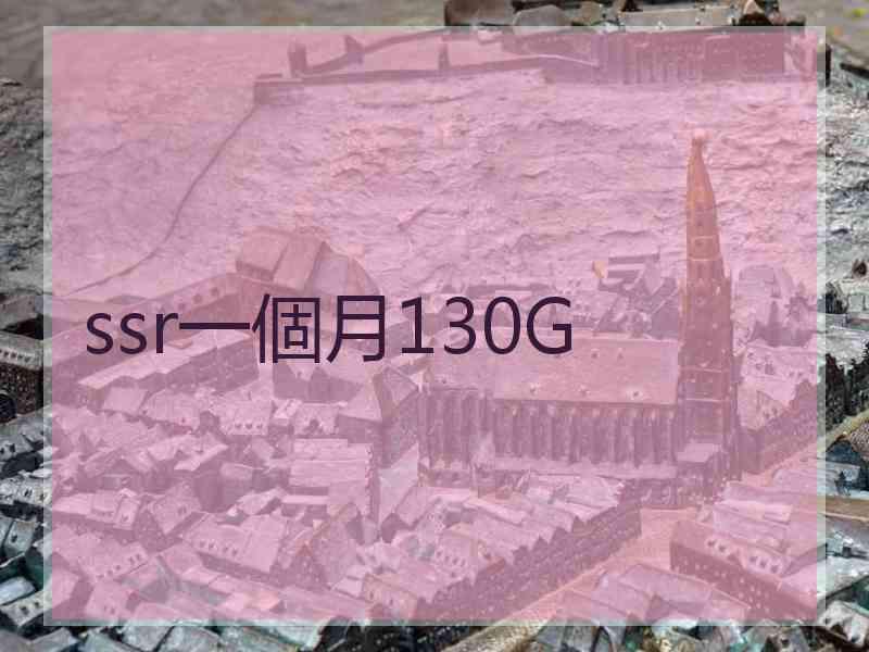 ssr一個月130G