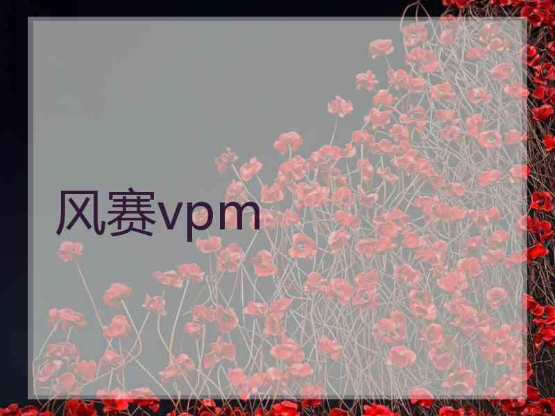 风赛vpm