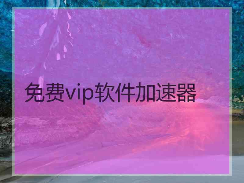 免费vip软件加速器