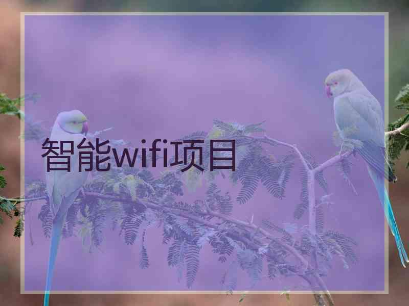 智能wifi项目