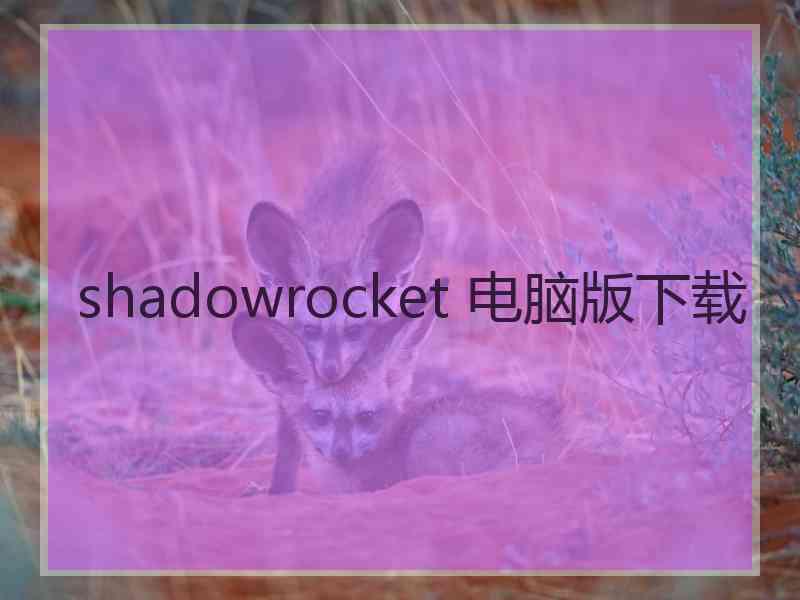 shadowrocket 电脑版下载