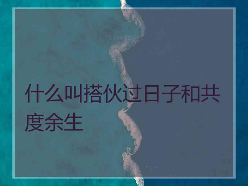 什么叫搭伙过日子和共度余生