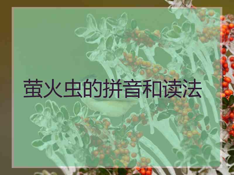 萤火虫的拼音和读法