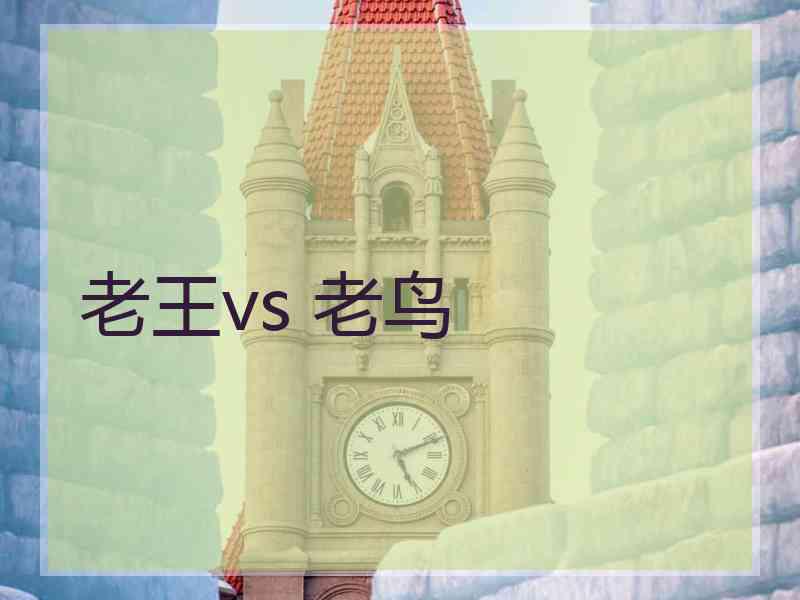 老王vs 老鸟