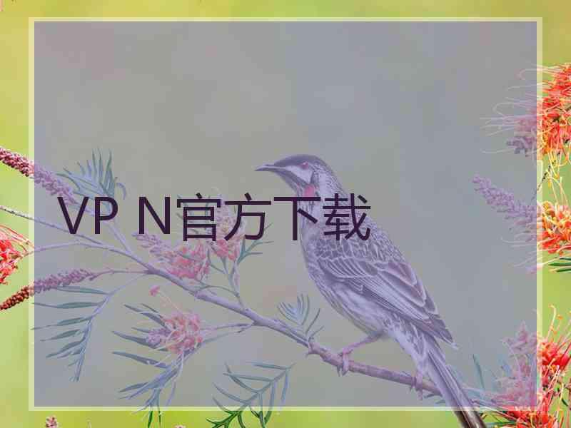 VP N官方下载