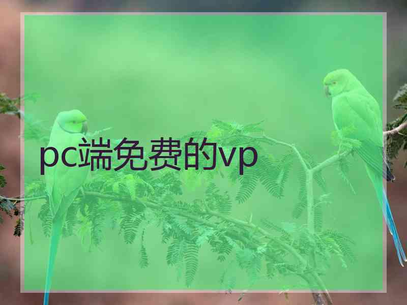 pc端免费的vp