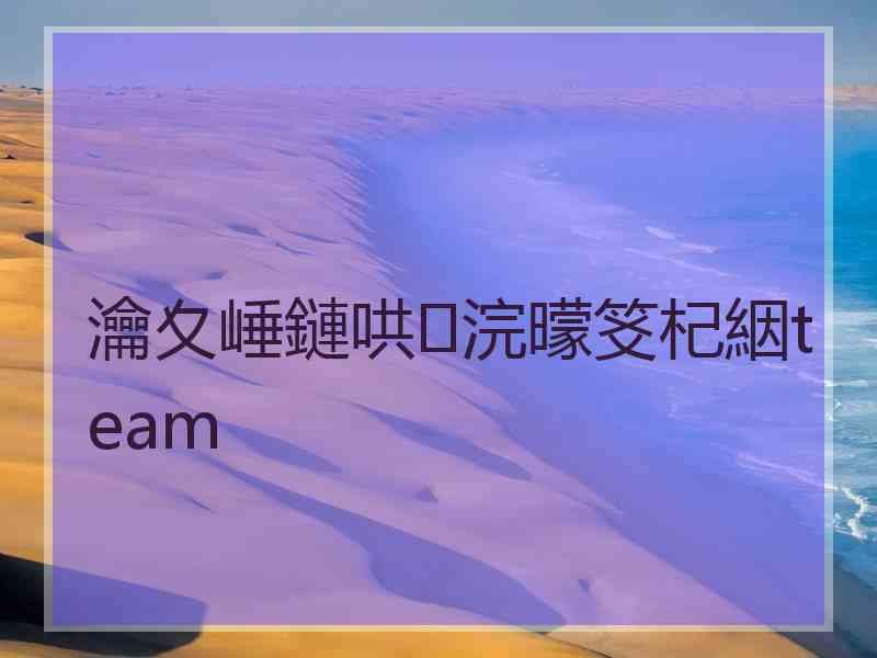 瀹夊崜鏈哄浣曚笅杞絪team