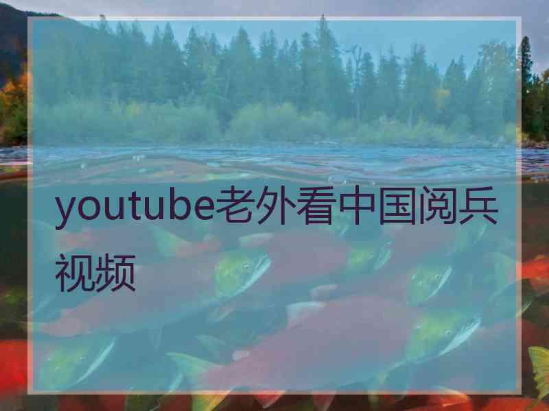 youtube老外看中国阅兵视频