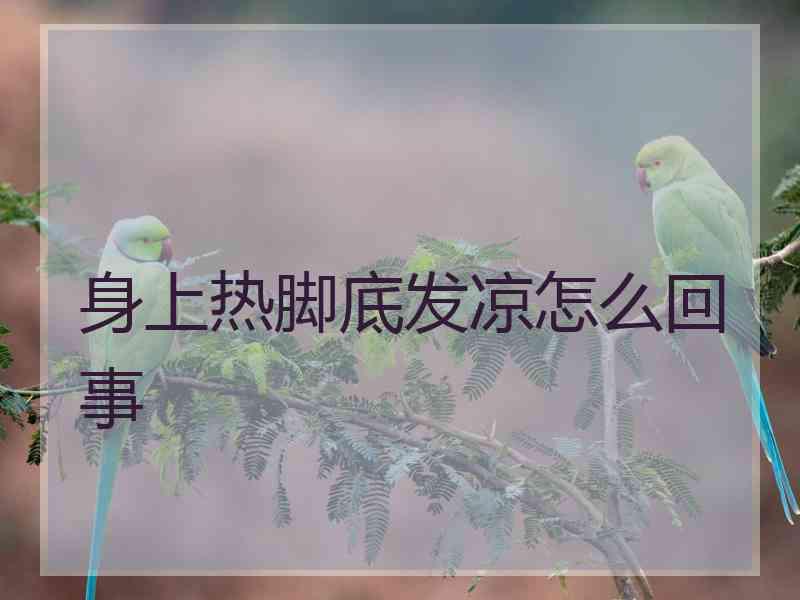 身上热脚底发凉怎么回事