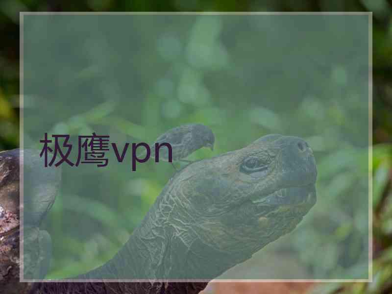 极鹰vpn