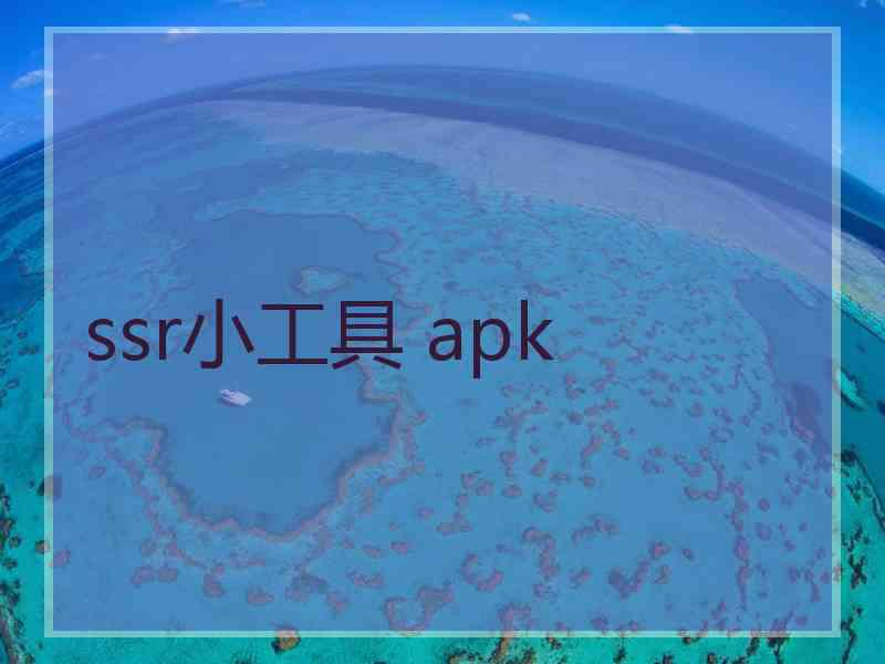 ssr小工具 apk