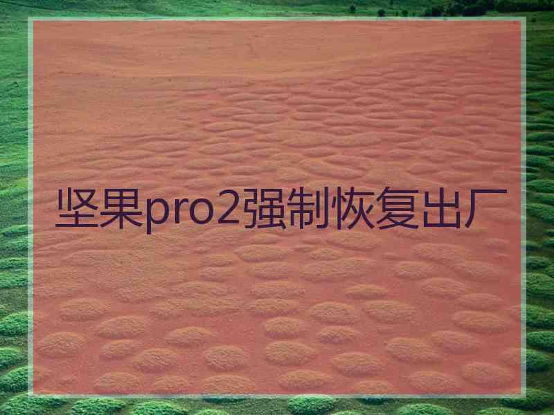 坚果pro2强制恢复出厂