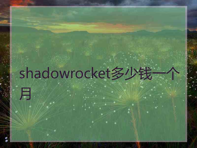 shadowrocket多少钱一个月