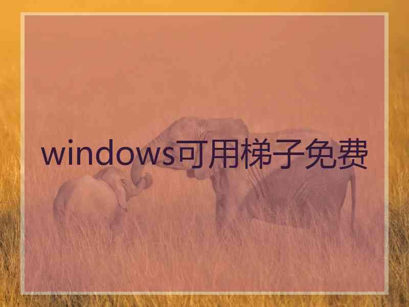 windows可用梯子免费