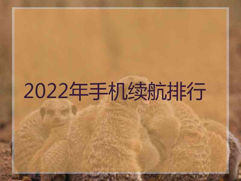 2022年手机续航排行