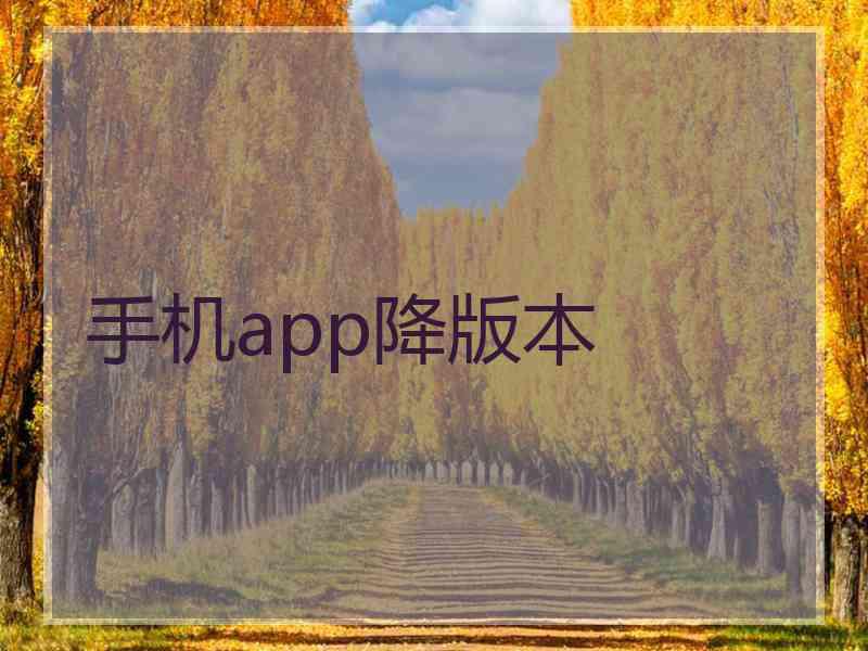 手机app降版本