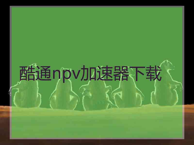 酷通npv加速器下载