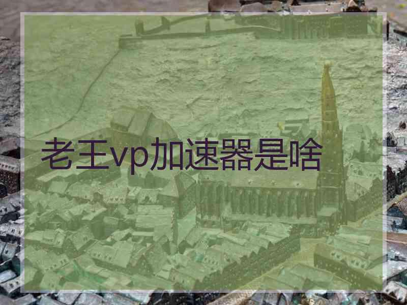 老王vp加速器是啥