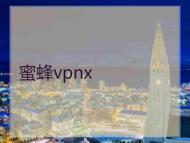 蜜蜂vpnx