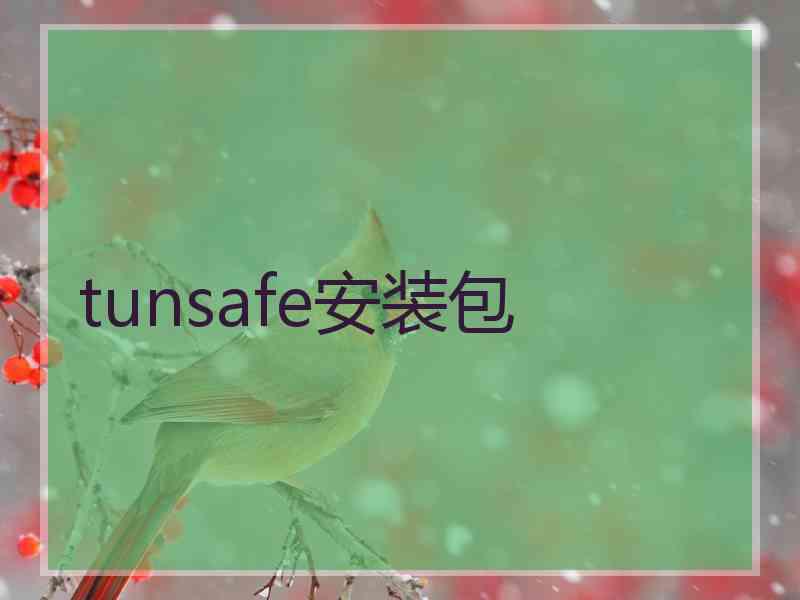 tunsafe安装包