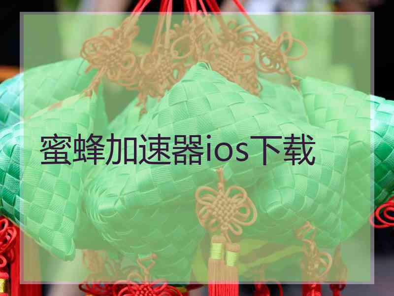 蜜蜂加速器ios下载