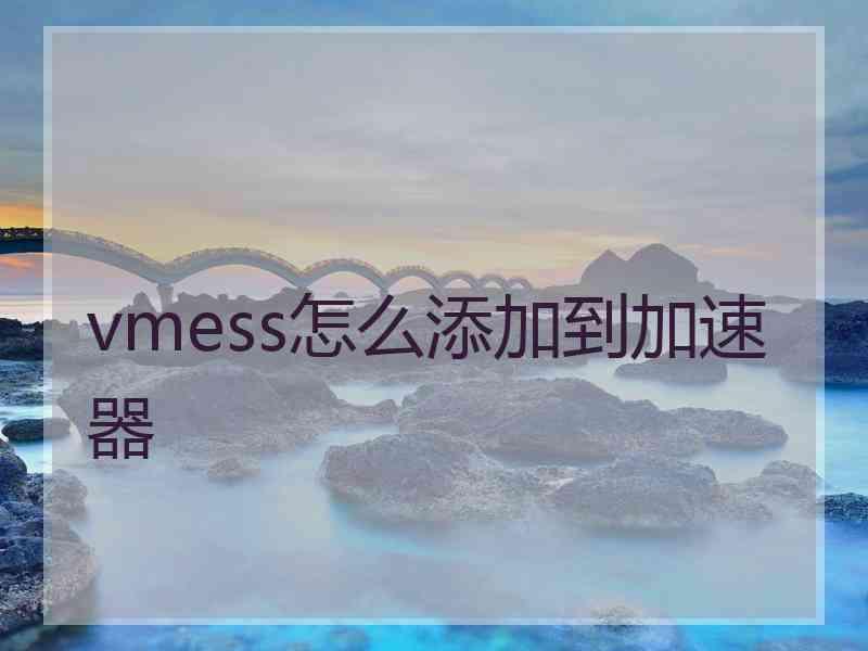 vmess怎么添加到加速器