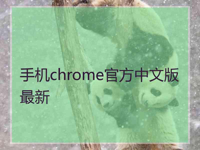 手机chrome官方中文版最新
