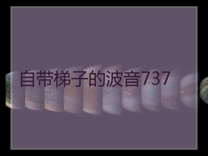 自带梯子的波音737