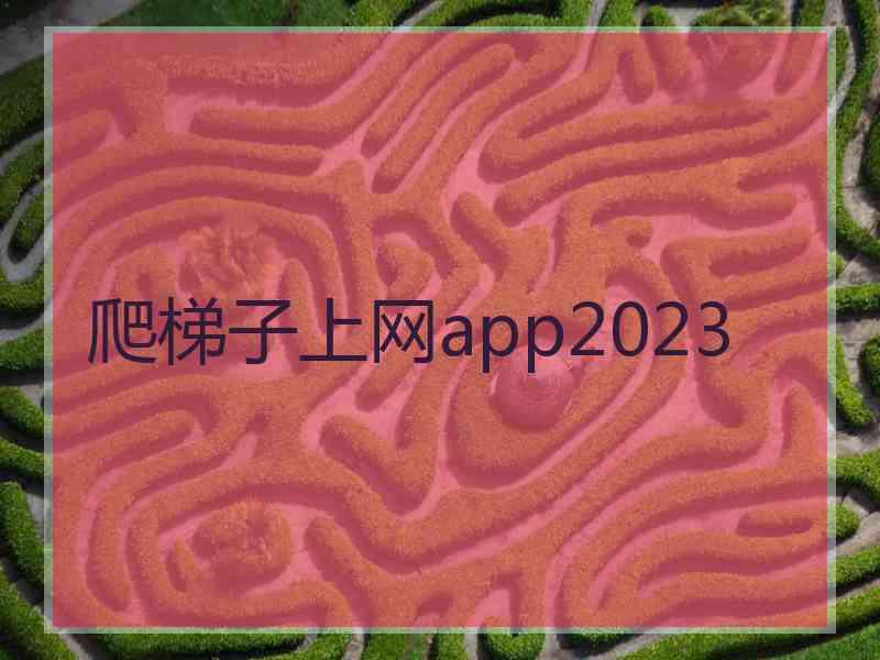 爬梯子上网app2023