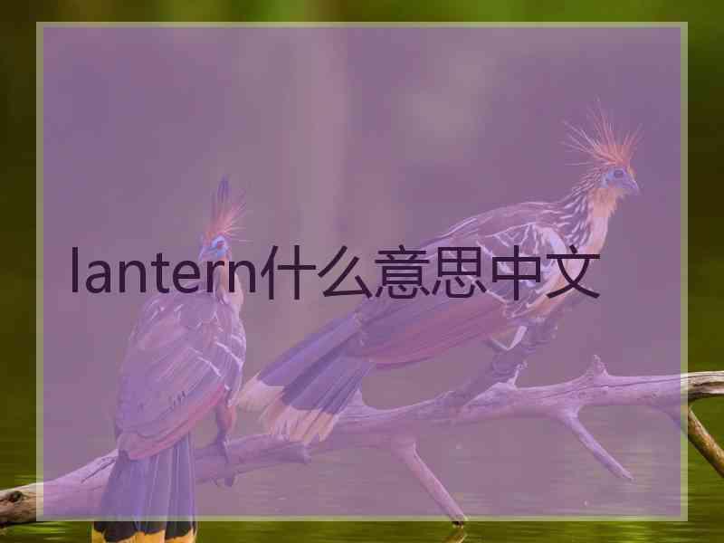 lantern什么意思中文