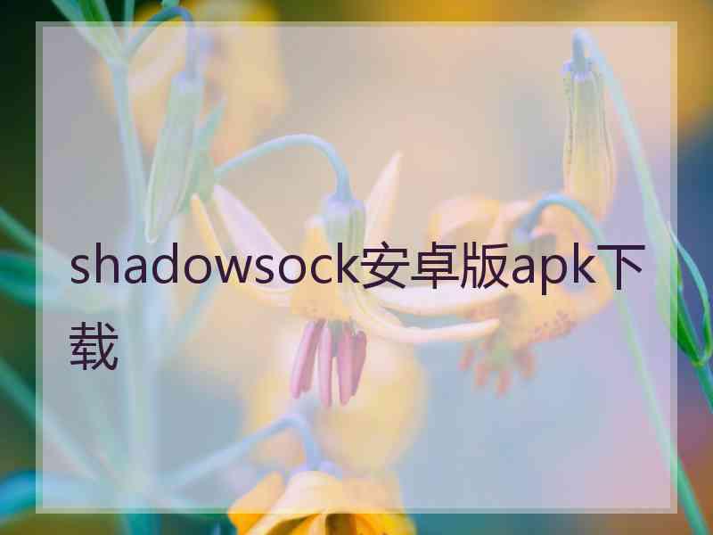 shadowsock安卓版apk下载