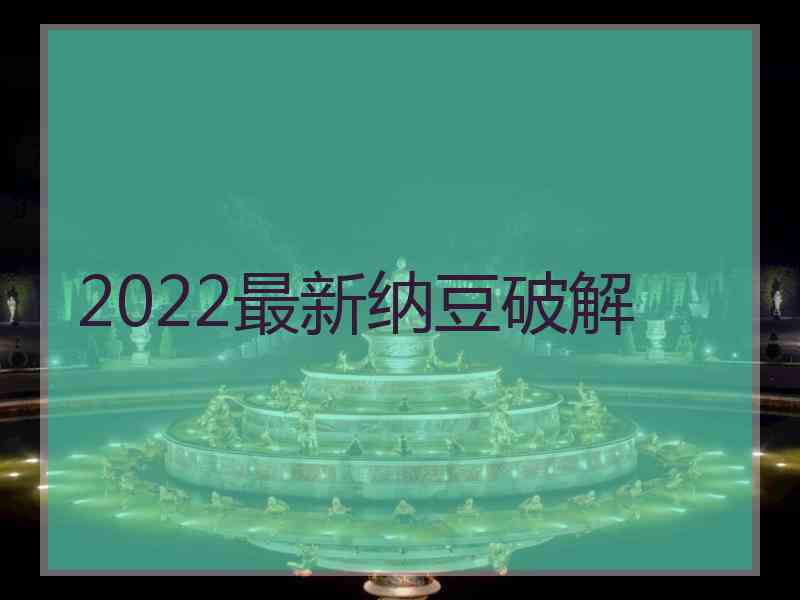 2022最新纳豆破解