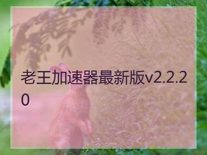 老王加速器最新版v2.2.20