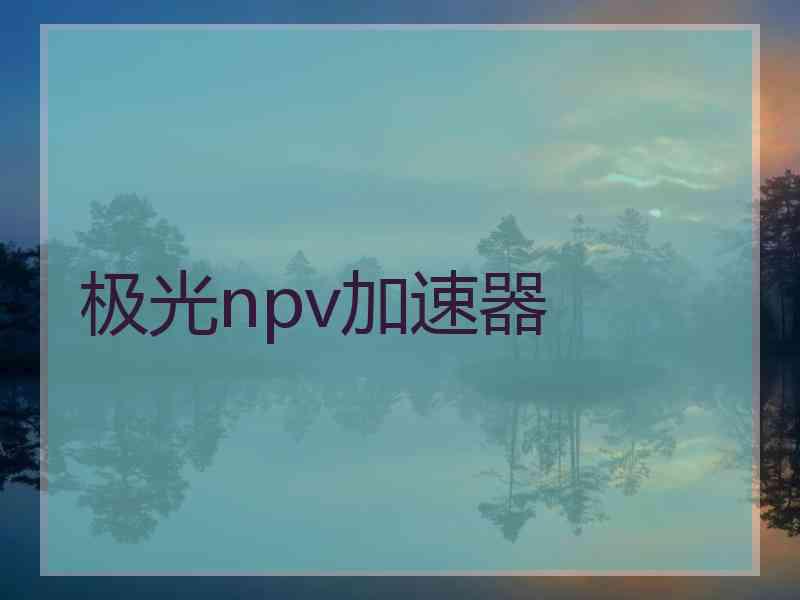 极光npv加速器